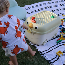 Load image into Gallery viewer, Cowrie and Conch - 'Ride a Long Storage' - Apple Tweet Tweet - Large