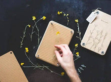 Load image into Gallery viewer, Sow 'n Sow - Flower Press 'Billy Buttons'