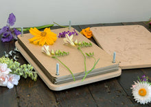 Load image into Gallery viewer, Sow 'n Sow - Giant 'Gumnut' Flower Press