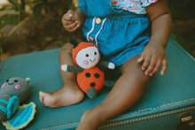 Load image into Gallery viewer, Red Lady Bird Rattle – Garden-Themed Toy