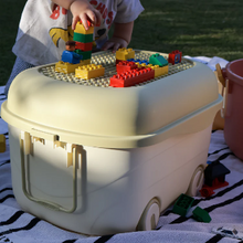 Load image into Gallery viewer, Cowrie and Conch - 'Ride a Long Storage' - Apple Tweet Tweet - Large