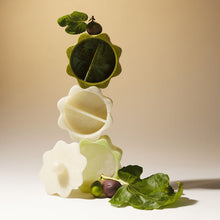 Load image into Gallery viewer, Sage X Clare - Sophie Stacking box set