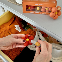 Load image into Gallery viewer, Felt Fresheners - Flower Garden