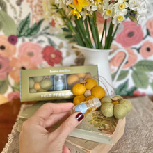 Load image into Gallery viewer, Felt Fresheners - Australian Countryside