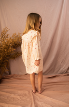 Load image into Gallery viewer, Pearson & Pearson - Juliet Dress - Piggy Pink Love Bug