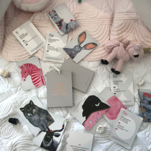 Load image into Gallery viewer, Unclebearskin’s ABC Flash Cards