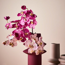 Load image into Gallery viewer, Floral Interiors - Vase Lucena Cerise