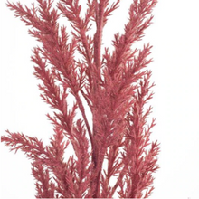 Load image into Gallery viewer, Floral Interiors - Faux Plume Grass Spray Mauve