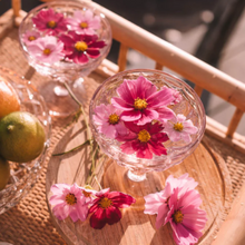 Load image into Gallery viewer, Wandering Folk - Primrose Margarita Set of 2