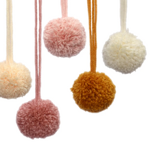 Load image into Gallery viewer, Hello Marla- Pompop Decorations