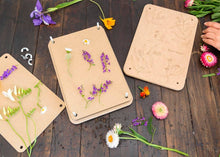 Load image into Gallery viewer, Sow &#39;n Sow - Giant &#39;Gumnut&#39; Flower Press
