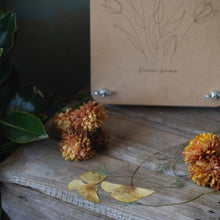 Load image into Gallery viewer, Sow &#39;n Sow - Giant &#39;Tulip&#39; Flower Press
