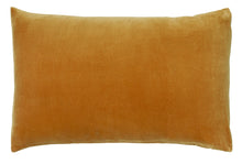 Load image into Gallery viewer, Castle - Butterscotch Velvet Pillowcase
