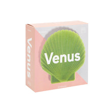 Load image into Gallery viewer, DOIY Venus Jewelry Box Light Green: Default

