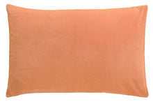 Load image into Gallery viewer, Castle - Rose Velvet Pillowcase

