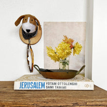 Load image into Gallery viewer, Dog Wall Decor Hook - Pickle: With Hook
