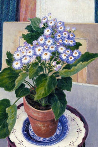 Cineraria - Lavender Scented Sachet