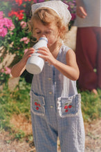 Load image into Gallery viewer, Juni - Charlotte Romper Sky Gingham

