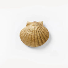 Load image into Gallery viewer, Bonnie &amp; Neil - Door Knocker - Shell
