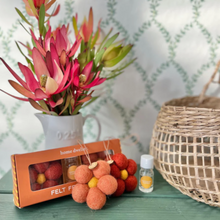 Load image into Gallery viewer, Felt Fresheners - Australian Florals
