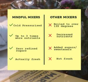 Mindful Mixer - Coconut Margarita