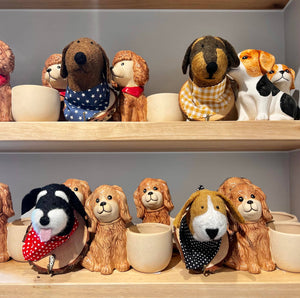 Dog Wall Decor / Hook - Cioccolato: With Hook