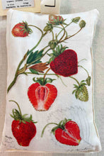 Load image into Gallery viewer, Lazy Bones -  Fragaria - Lavender Scented Sachet
