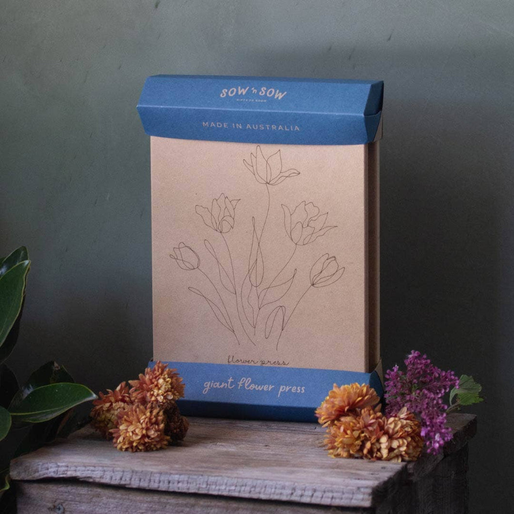 Sow 'n Sow - Giant 'Tulip' Flower Press