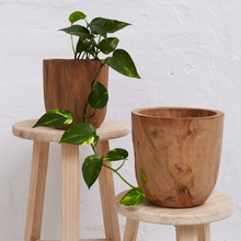 Load image into Gallery viewer, Inartisan Iniko Tree Root Planter
