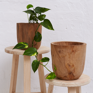 Inartisan Iniko Tree Root Planter