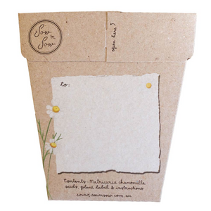 Sow 'n Sow - Chamomile Gift of Seeds