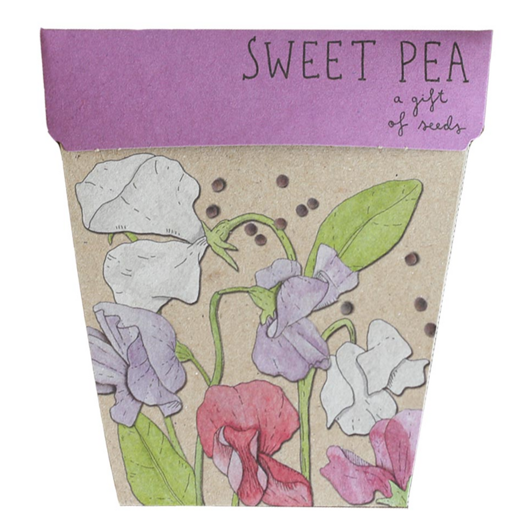 Sow 'n Sow - Sweet Pea Gift of Seeds
